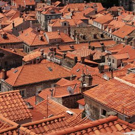 Profile Picture of Nick Giannetti (@Nick__Giannetti) on Twitter