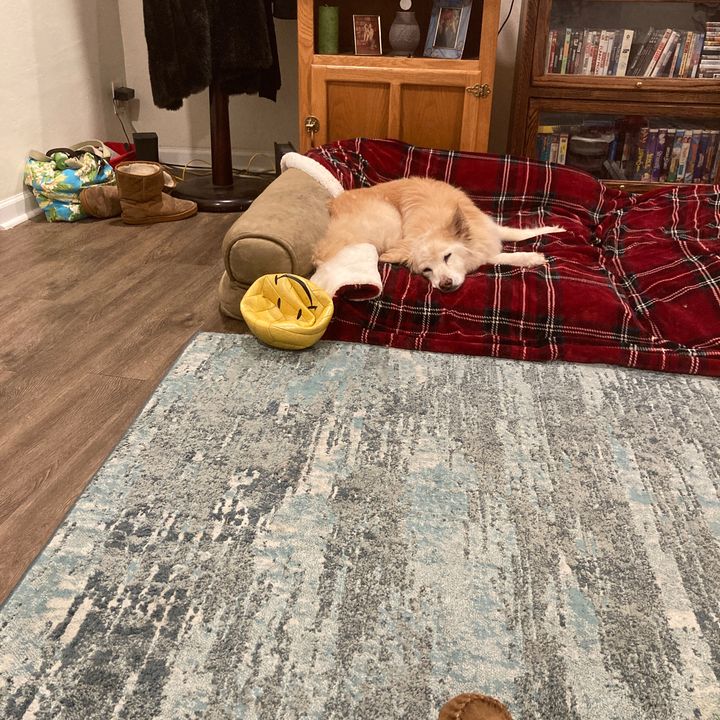 Profile Picture of conniehovey (@@conniehovey) on Tiktok