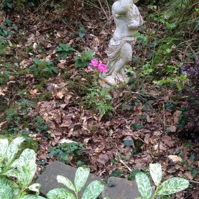 Profile Picture of Joe Kelleher (@wmjkelleher) on Twitter