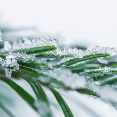 Profile Picture of Jeremiah (@Hhatl1MlBnsWLP6) on Twitter