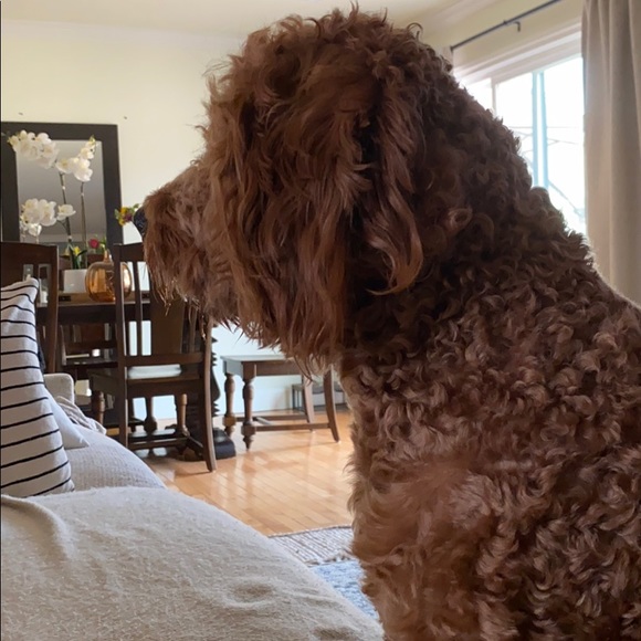 Profile Picture of Orlanda Ferreira (@omferreira) on Poshmark