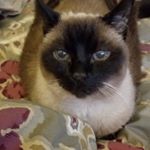 Profile Picture of Glynis Moore (@glynismoore4) on Instagram