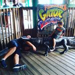 Profile Picture of Jeff Gordon (@jeff.gordon.359) on Instagram