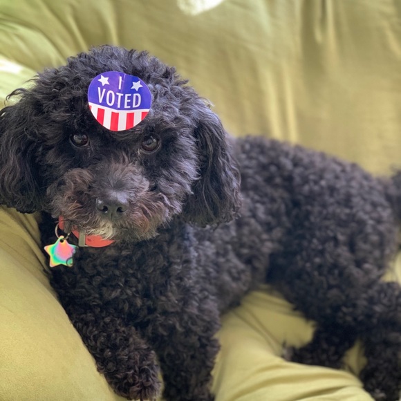 Profile Picture of Jonathan Pastrana (@jpastrana9) on Poshmark