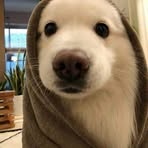 Profile Picture of James Earl Gleyo Carbonilla (@James-Earl-Gleyo-Carbonilla) on Facebook