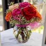 Profile Picture of Julianna Stauffer (@juliannastauffer) on Instagram