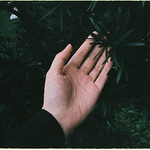 Profile Picture of Qing Chen (@jac.notes) on Flickr