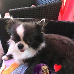 Profile Picture of Winnie Palmer (@winnie.palmer.58) on Facebook