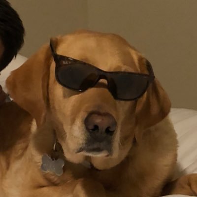 Profile Picture of CR (@ClareRudolph6) on Twitter