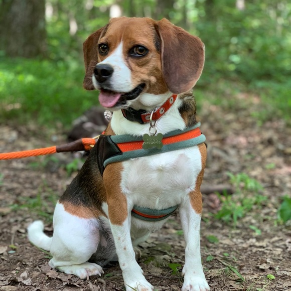 Sam Grim - Poshmark Profile Picture of Sam Grim (@samtriggs) on Poshmark