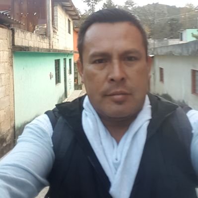 Profile Picture of Mario E Verdi Hedz (@verdi_hedz) on Twitter