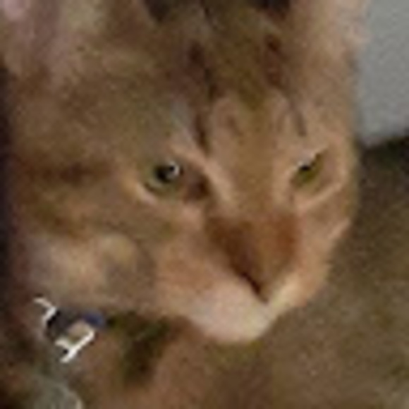 John Felix - Poshmark Profile Picture of John Felix (@johnfelix373) on Poshmark