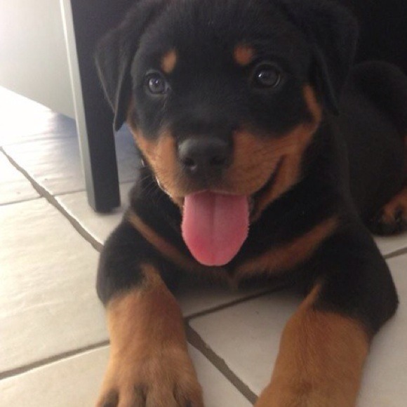 Profile Picture of Kd H (@kodajao) on Poshmark