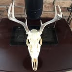 Profile Picture of Steve Vanderlaan (@steve.vanderlaan.79) on Facebook