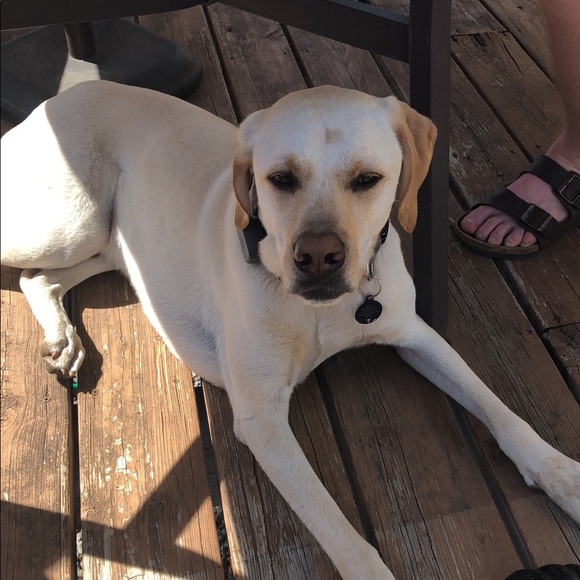 Profile Picture of Shelly Bohmert (@mbohmert13) on Poshmark