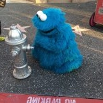 Profile Picture of yusuke nakano (@yusuke_shark) on Instagram