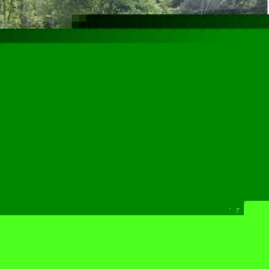 Profile Picture of Terry Stegall (@326163555) on Myspace