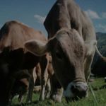 Profile Picture of Daniel (@heescht_agrar) on Instagram