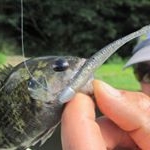 Profile Picture of DAVID MENTEUR (@david.menteur) on Instagram