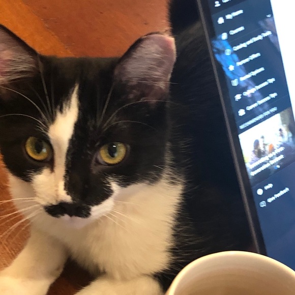 Profile Picture of Ken Klein (@kleinstop) on Poshmark