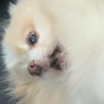 Profile Picture of Bitsy Meyer (@oliviacadymeyer) on Instagram