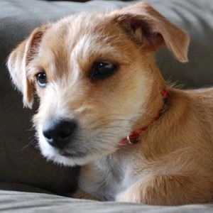 Profile Picture of Cindy Konsella (@hopeforchanges) on Myspace