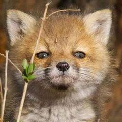 Profile Picture of markkrger4 (@markkrger4) on Tiktok