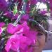 Profile Picture of Claudie Prior (@claudie.prior.7) on Facebook