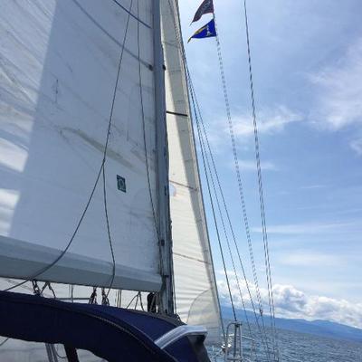 Dale Skoreyko - Twitter Profile Picture of Dale Skoreyko (@DaleSkoreyko) on Twitter