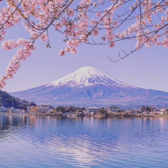 Profile Picture of Jean Velasquez (@jvelasquez4021) on Poshmark