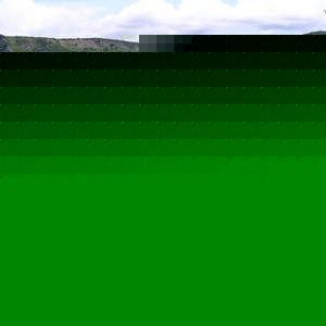 Profile Picture of Jose Vallecillo (@reservavolcancoseguina) on Myspace