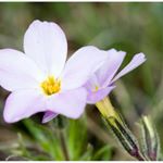 Profile Picture of Pauwels_Robert (@pauwels_robert9152) on Instagram