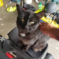 Profile Picture of Mike Klatt (@mike-klatt-4) on Quora