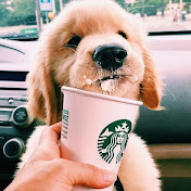 Profile Picture of Angeline Liu (@angelineliu3656) on Youtube