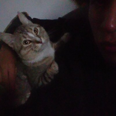 Profile Picture of Daniel Belman (@DanielBelman12) on Twitter