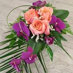 Profile Picture of Kevin Evanson (@evansonkevin) on Instagram