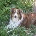 Profile Picture of Cynthia Keefover (@cynthia.keefover.3) on Facebook