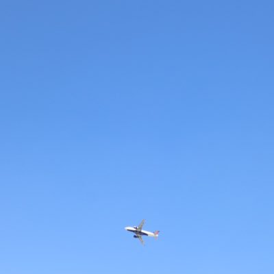 Profile Picture of GM (@ShogrenSteve) on Twitter