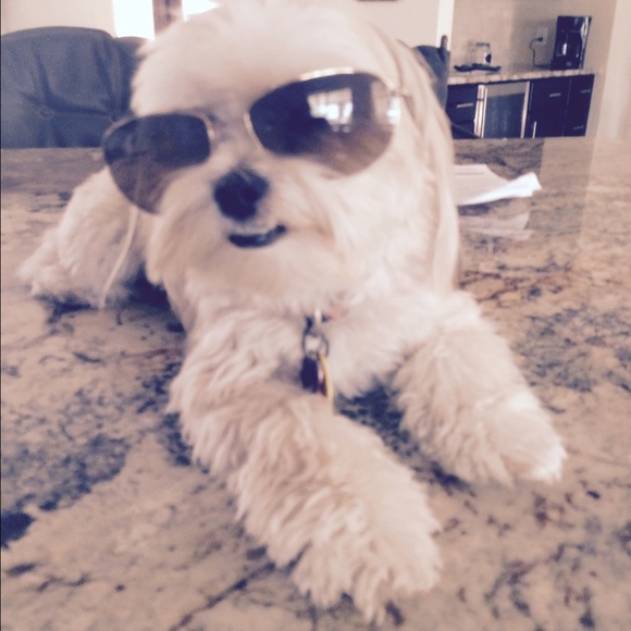 Profile Picture of Stephanie Whitacre (@stephaniewh) on Poshmark