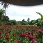 Profile Picture of Cristofer Ruiz Laurel (@Cristofer-Ruiz-Laurel) on Facebook