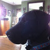 Profile Picture of Lorrie Nichols (@lorrie-nichols-9) on Quora