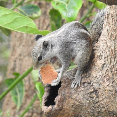 Profile Picture of PRAY (@AndySin84741623) on Twitter