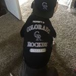 Alice Ornelas - Instagram Profile Picture of Alice Ornelas (@aliceornelas) on Instagram