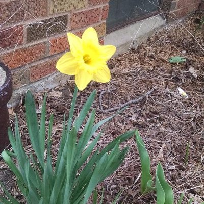 Profile Picture of Paula Winkler (@WinklerPaula) on Twitter