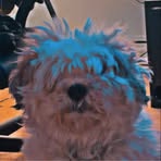 Profile Picture of Clay Honeycutt (@clay.honeycutt.77) on Facebook