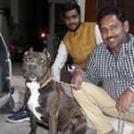 Anil Mittal - Instagram Profile Picture of Anil Mittal (@mittal.anil0001) on Instagram