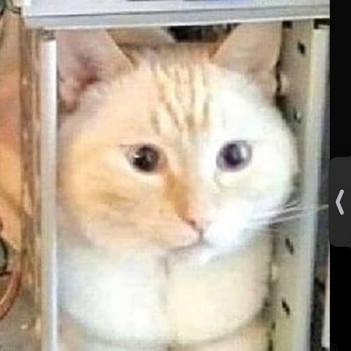 Profile Picture of David Berard (@dcb3) on Tiktok