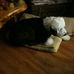 Profile Picture of Bruce Millett (@bruce.millett.10) on Facebook