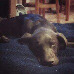 Profile Picture of Jocelyn Johnson (@jjohns0605) on Instagram