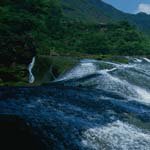 Profile Picture of _Howard_Schwartz_ (@_howard_schwartz_d) on Instagram